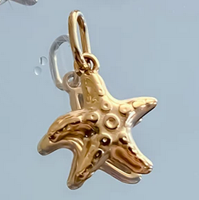 Висулка за колие Морска звезда